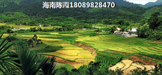 庆业·天湖半岛跟海棠101“候鸟”选哪个？屯昌县买房子最低多少钱？