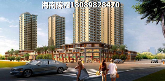 中央绿园常年潮湿吗？